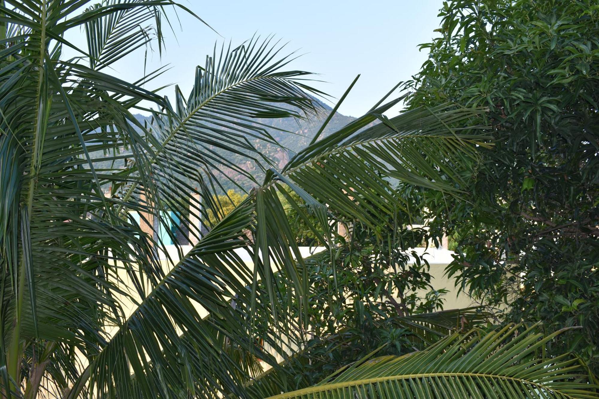 Rainbow Guest House Tiruvannamalai Exterior photo
